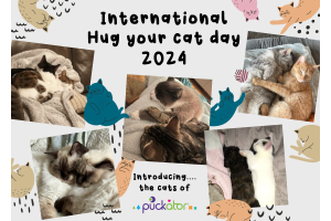 Oslavte Den objetí vaší kočky s velkoobchodem Puckator 